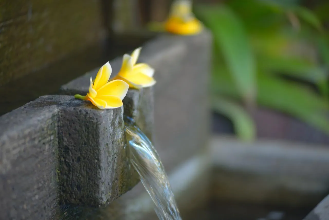 **  Andari Legian Hotel Bali Indonesia